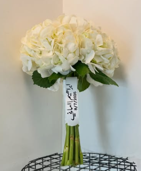 Ivory Hydrangea