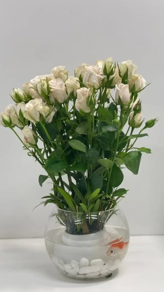 Rose Fishbowl